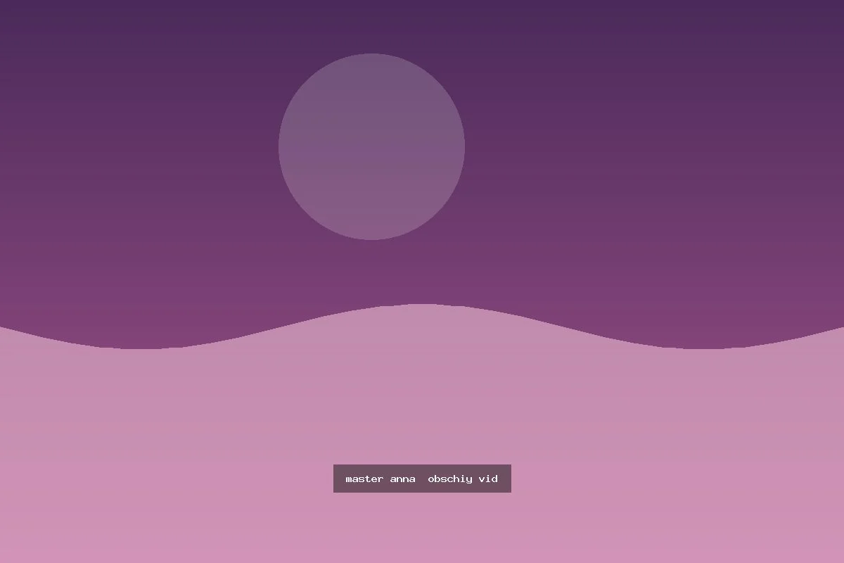 Мастер Анна — общий вид